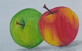 Image result for Apple Still Life Pencil