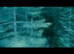 Image result for Twilight Trailer