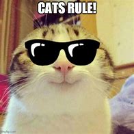 Image result for Cat Smile Meme Face