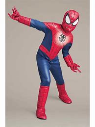 Image result for Spider-Man Costume Party City