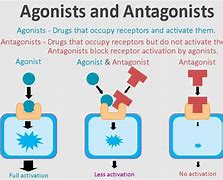 Image result for agonjoso