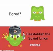 Image result for Russian Bird Meme