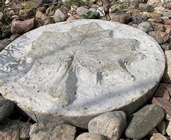 Image result for Papercrete Stepping Stones