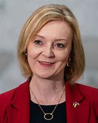 Image result for Liz Truss Book Please Just Take It