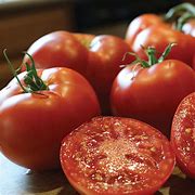 Image result for Better Boy Hybrid Tomato