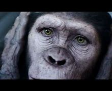 Image result for Rise of the Planet of the Apes Memes