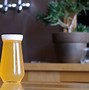 Image result for Glass of Hasy IPA
