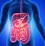 Image result for Digestive Fire