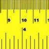 Image result for Foot Ruler Actual Size