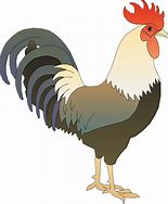 Image result for Du Coq