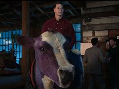 Image result for John Cena and Purple Cow