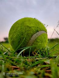 Image result for Tennis Cricket Background