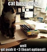 Image result for Funny Cat Boss Meme