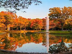 Image result for Yoyogi Ōyama Park