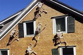 Image result for Climbing Skeletons