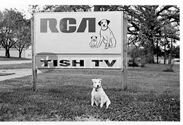 Image result for RCA Dog Poster