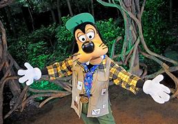 Image result for Disney Animal Kingdom Goofy Mickey