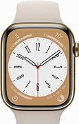 Image result for Starlight Aluminum vs Gold Stainless Steel Apple Watch