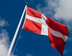 Image result for Full Red Flag with White Two Plus Signs
