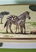 Image result for Zebra Card
