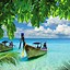 Image result for Tropical Beach Wallpaper iPhone