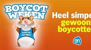 Image result for Micrsoft Boycot