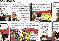 Image result for Breaking Cat News by Georgia Dunn