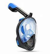 Image result for Full Face Mask with Goggles