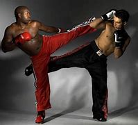 Image result for American Kickboxing