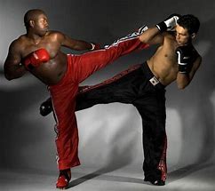 Image result for Kickboxing