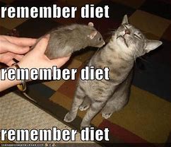Image result for New Year's Diet Meme