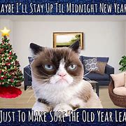 Image result for Grumpy Cat New Year's Eve