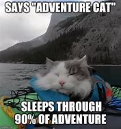 Image result for Adventure Cat Meme