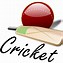 Image result for Cricket Match Cartoon