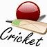 Image result for Playing Cricket Cartoon