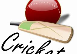 Image result for Cricket Illustration Logo