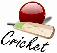 Image result for Cricket Ball Artwork