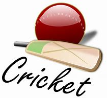 Image result for Cricket Artwork