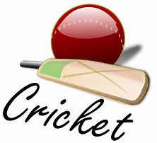 Image result for Cricet Logos