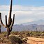 Image result for Cactus Desert at Night Background