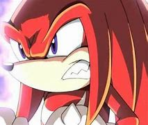 Image result for Knuckles the Echidna Mad