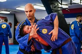 Image result for Real Aikido