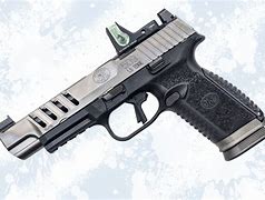 Image result for FNS Gun