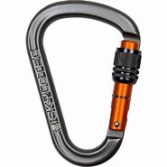 Image result for Triple Action Carabiner