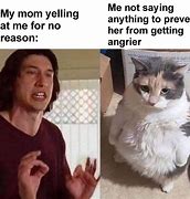Image result for Sorry Mom Cat Meme