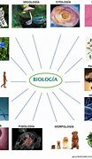 Image result for Que ES Biologia