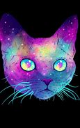 Image result for Cat Cosmic Aesthetic