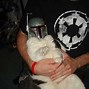 Image result for Cat Star Wars Walker Meme