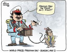 Image result for Press Freedom Cartoon
