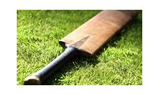 Image result for Cricket Bat Sight Picture